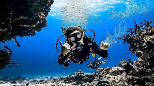 Dari Cozumel: Penyelaman Scuba Tangki Ganda untuk Penyelam Bersertifikat