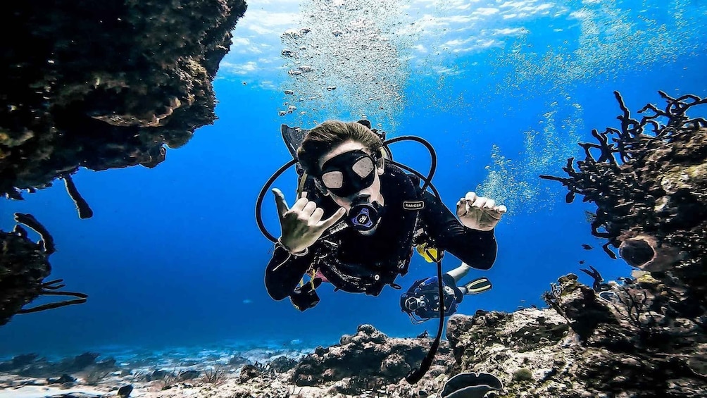 From Cozumel: Double Tank Scuba Diving for Certified Divers