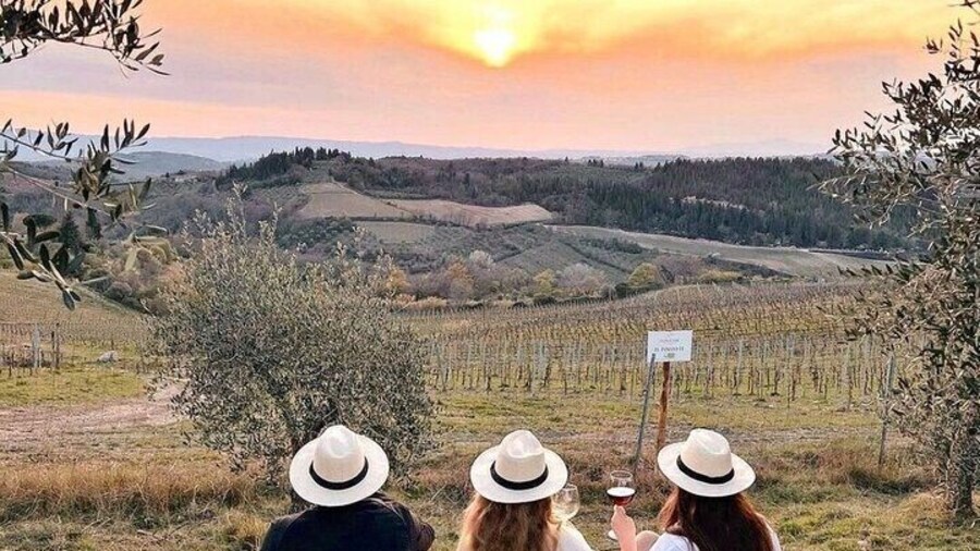 Wine Tasting Chianti