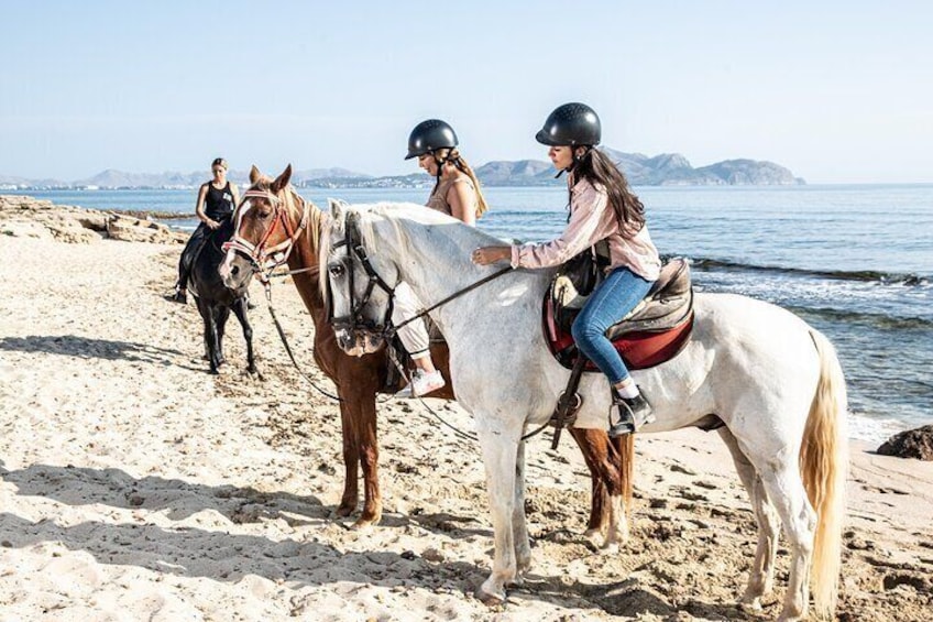 Horse Riding in Mallorca on the Beach