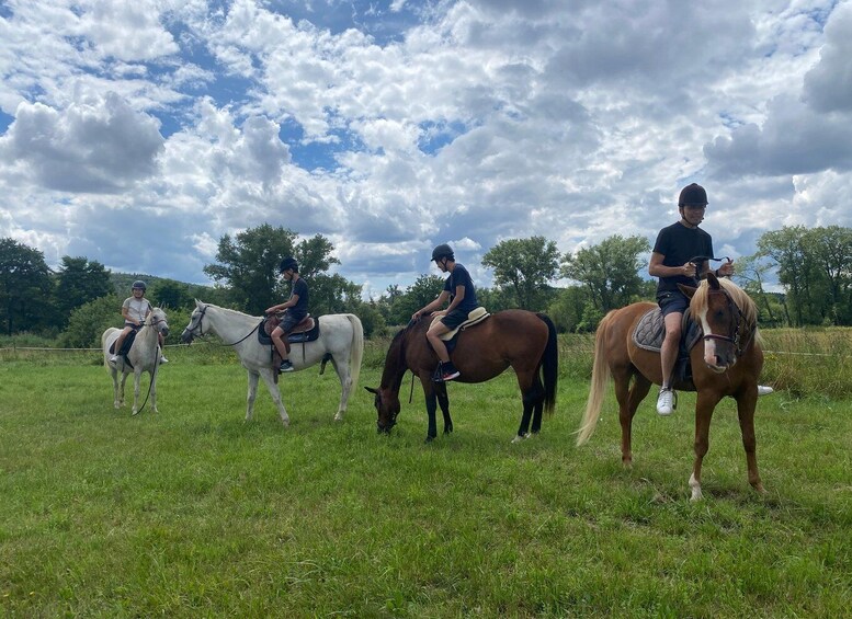 Picture 9 for Activity Horseback riding tour near Prague