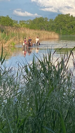 Picture 1 for Activity Horseback riding tour near Prague