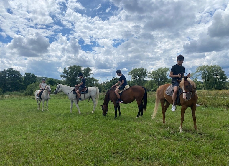 Picture 9 for Activity Horseback riding tour near Prague