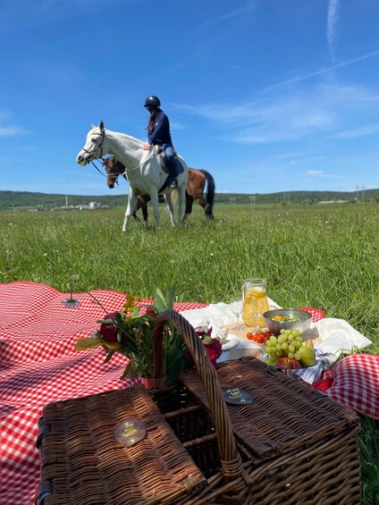 Picture 10 for Activity Horseback riding tour near Prague