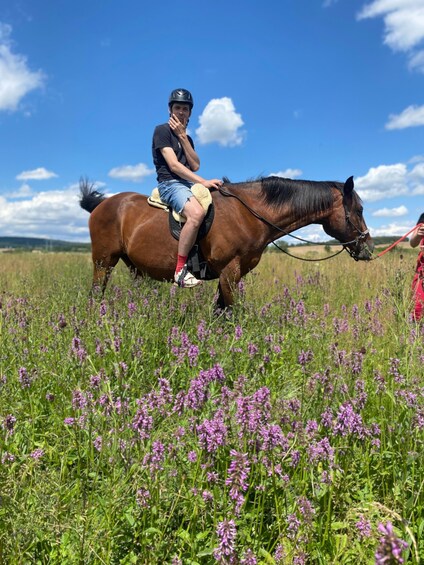 Picture 8 for Activity Horseback riding tour near Prague