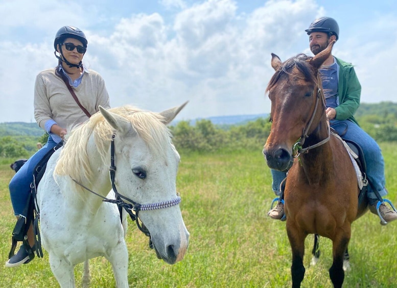 Picture 4 for Activity Horseback riding tour near Prague