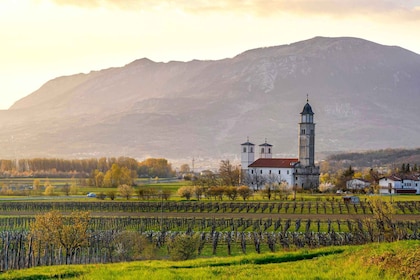 Da Lubiana: Tour espresso del vino della Valle del Vipacco