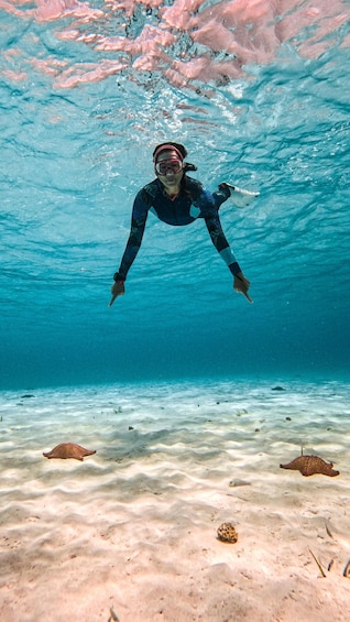 Picture 2 for Activity From Cozumel: Snorkel Private Charter to el Cielo & Cielito