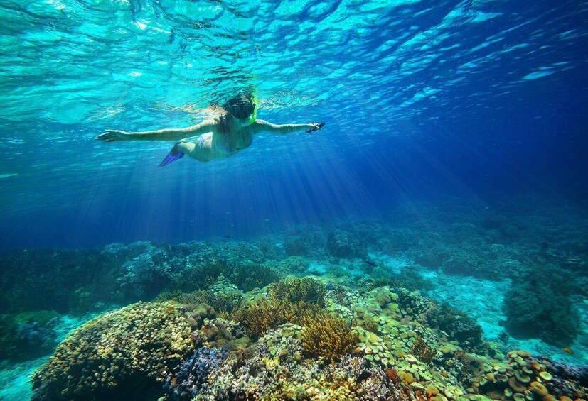 Picture 6 for Activity From Cozumel: Snorkel Private Charter to el Cielo & Cielito