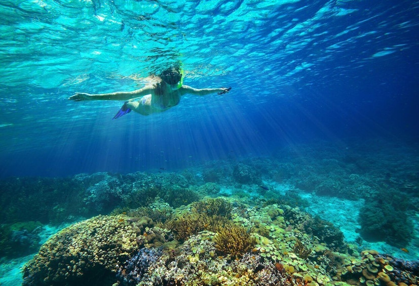 Picture 6 for Activity From Cozumel: Snorkel Private Charter to el Cielo & Cielito
