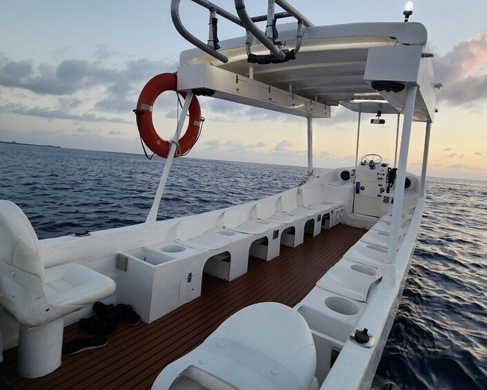 Picture 5 for Activity From Cozumel: Snorkel Private Charter to el Cielo & Cielito