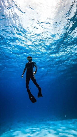 Picture 4 for Activity From Cozumel: Snorkel Private Charter to el Cielo & Cielito