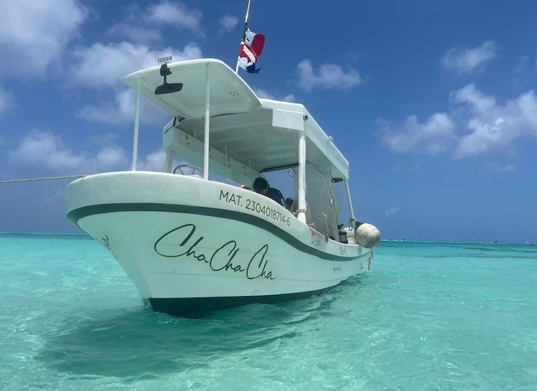 From Cozumel: Snorkel Private Charter to el Cielo & Cielito