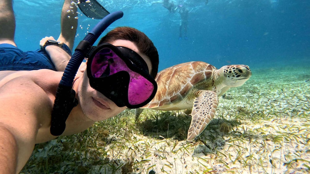 Picture 3 for Activity From Cozumel: Snorkel Private Charter to el Cielo & Cielito