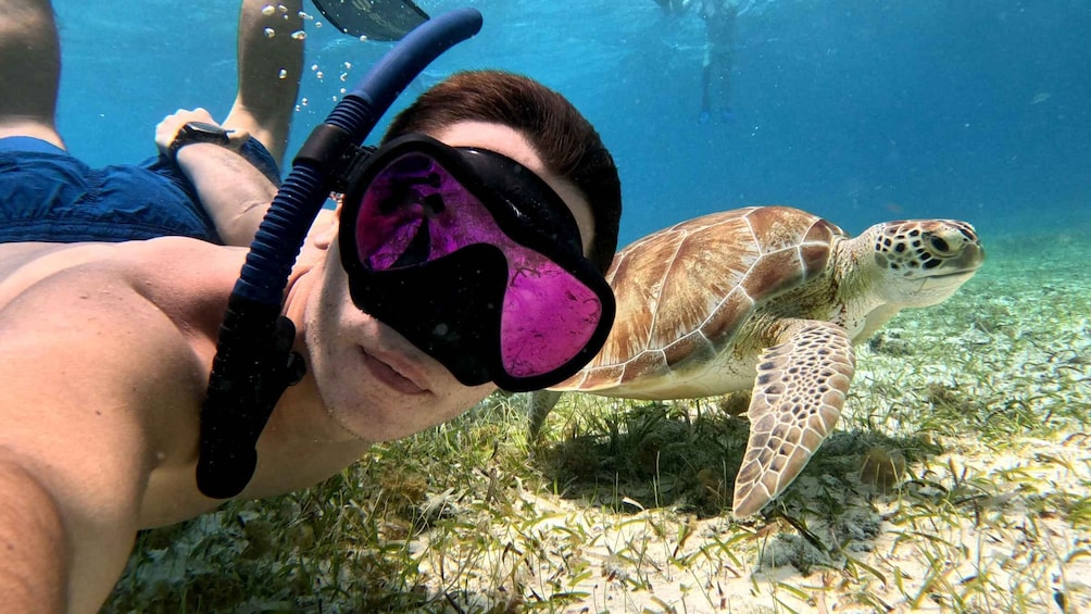 Picture 3 for Activity From Cozumel: Snorkel Private Charter to el Cielo & Cielito