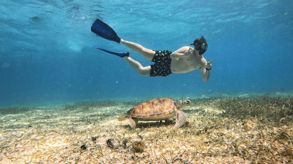 Picture 1 for Activity From Cozumel: Snorkel Private Charter to el Cielo & Cielito