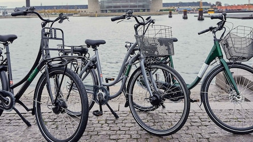コペンハーゲンE-バイクレンタル