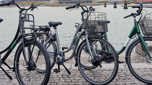 Location de vélos électriques à Copenhague