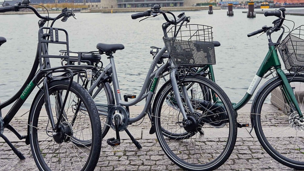 Copenhagen E-Bike Rental