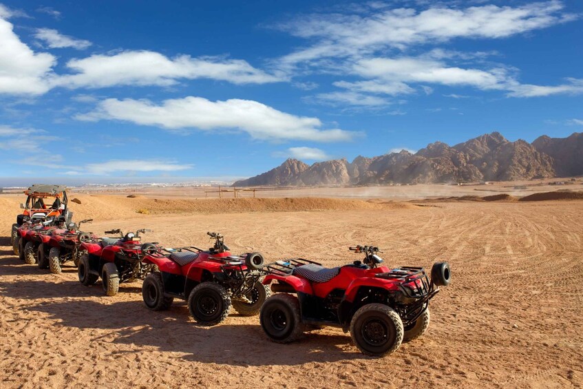 Picture 43 for Activity Sharm El Sheikh: ATV, Bedouin Tent with BBQ Dinner and Show