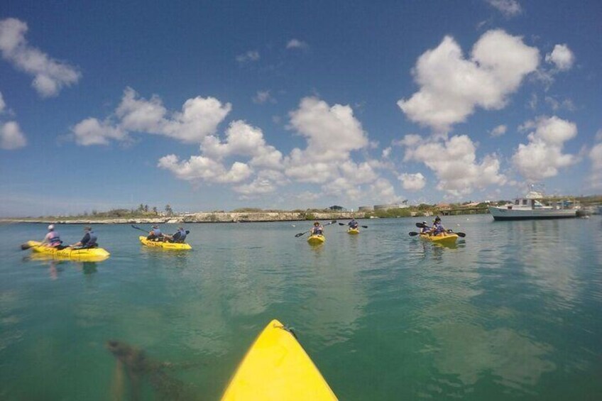 Adventure Kayak & Snorkeling at Reef Island Aruba