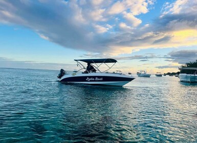 Le Morne: Privat bådtur med delfinobservation og snorkling