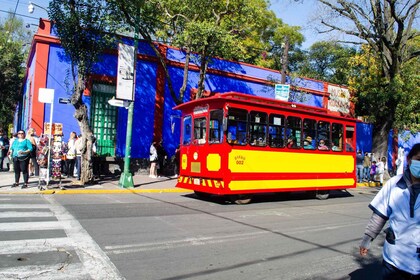 Mexico City: Frida Kahlo Museum Guided Tour with Options