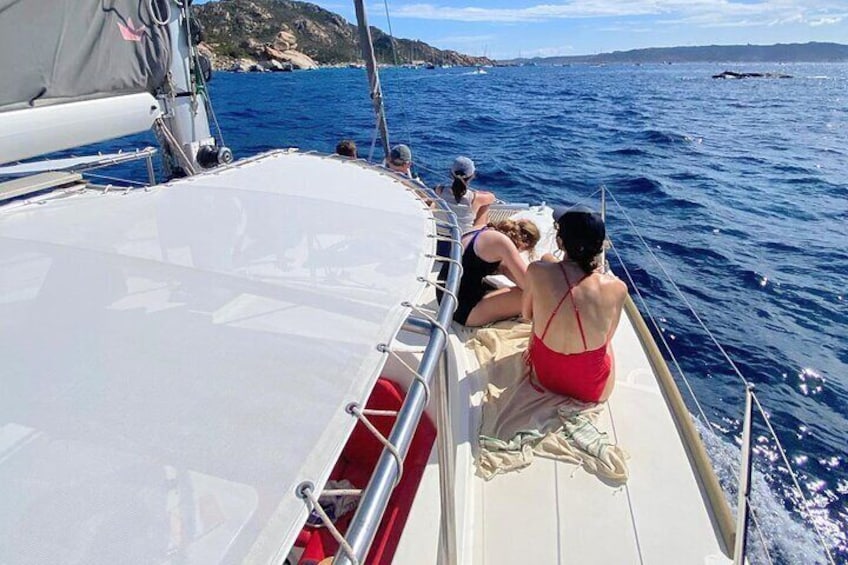 Catamaran tour of the islands of the La Maddalena Archipelago