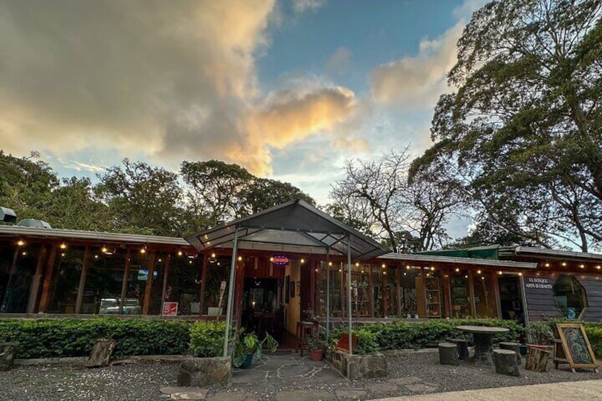 Night Walk in Monteverde with Dinner Included