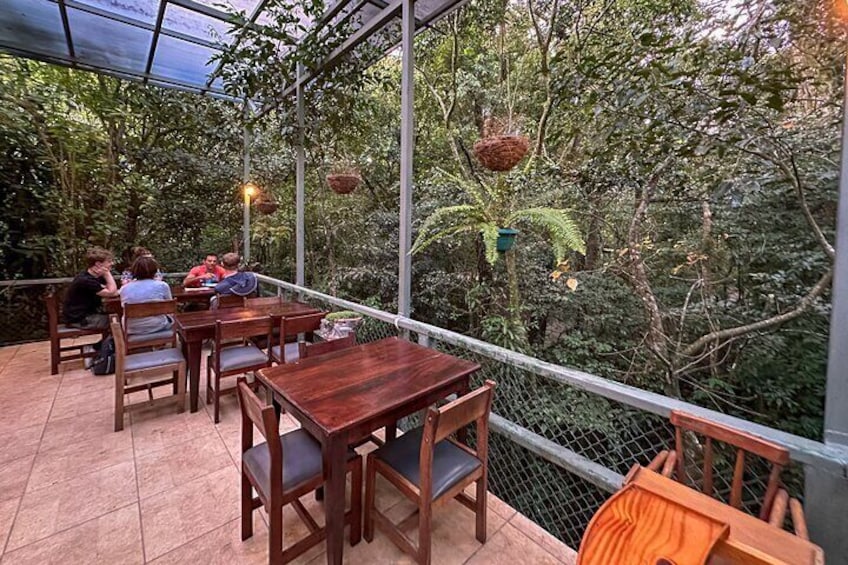 Night Walk in Monteverde with Dinner Included