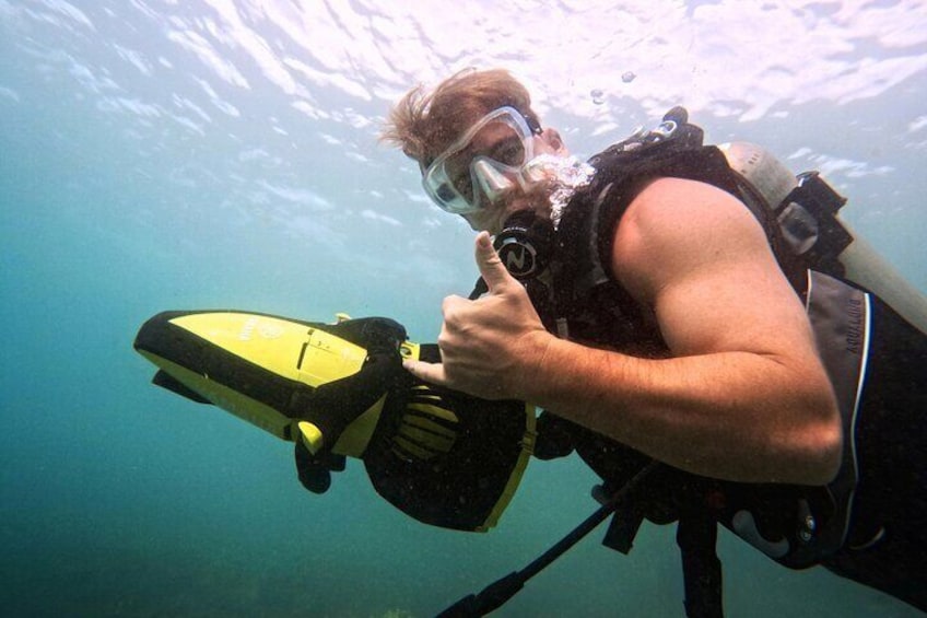 Dive aloha! Scuba diving in Maui is fun when you dive with turtles and sharks in Maui! Scuba gear rental and diving for beginners, certified divers, refresher dives, intros, & more!