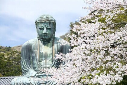 Tokyo: Shuttle Bus Tour to Kamakura Great Buddha & Enoden Ride