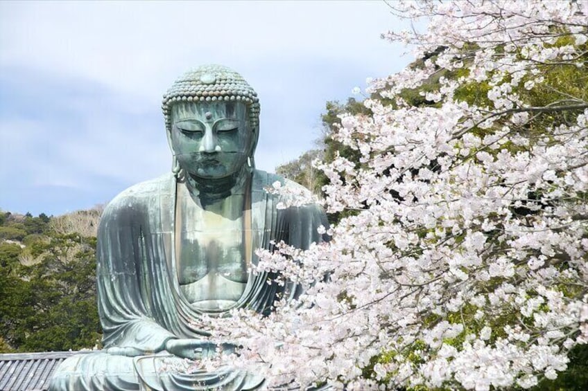 Tokyo to Kamakura: Full Day Tour to Kamakura Great Buddha