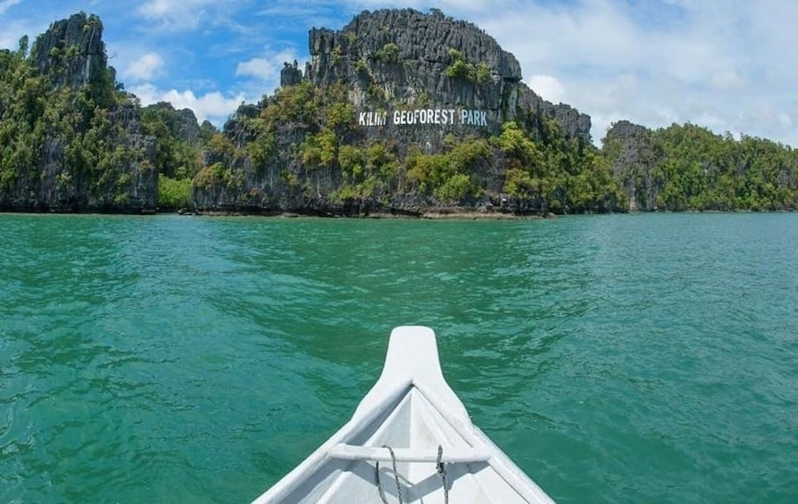 Tanjung Rhu Mangrove Speedboat Tour in Langkawi