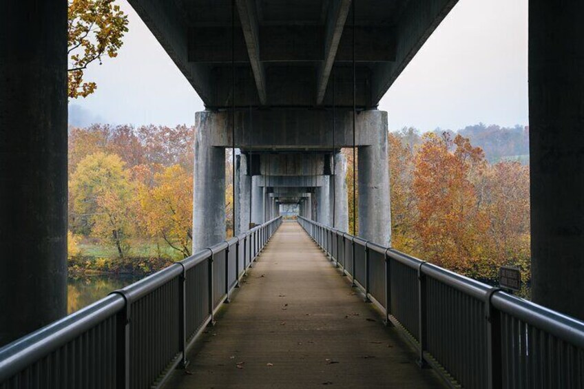 Pedestrian Bridge