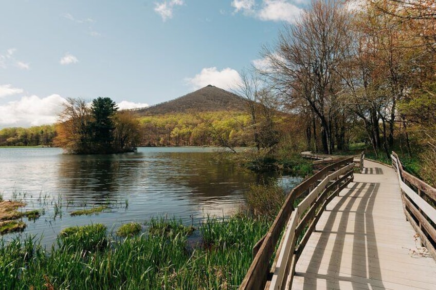 Sharp Top Mountain