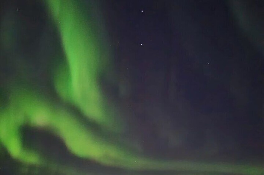 Northern Lights tour with Reindeer