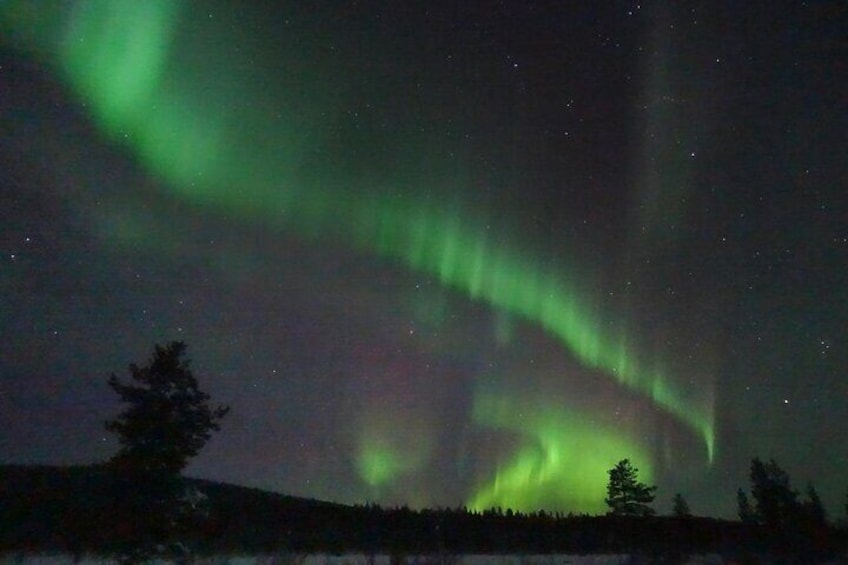 Northern Lights with Sleigh Ride in Jukkasjärvi