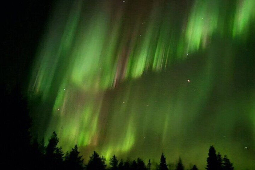Northern Lights tour with Reindeer
