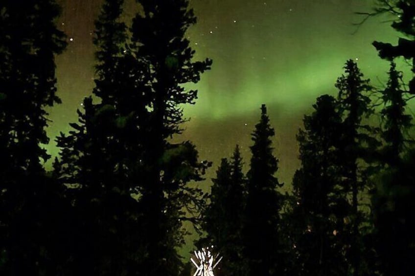 Northern Lights with Sleigh Ride in Jukkasjärvi