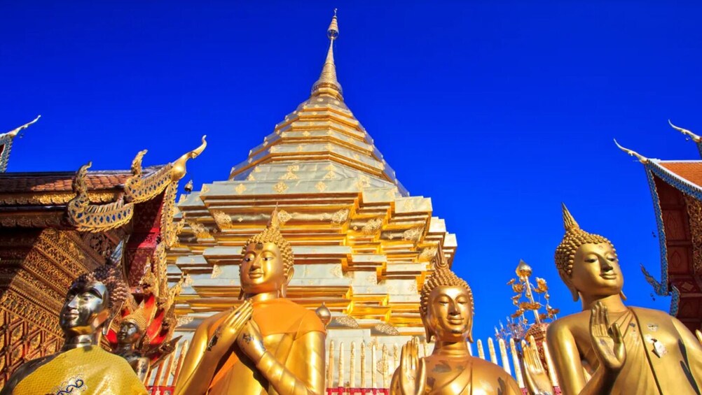 Chiang Mai City Tour : Unveiling Northern Temple Charms