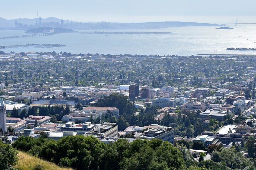 2 Hours Private Walking Tour in Berkeley