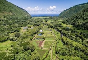 3 Hour Waipio Valley ATV, Waterfall, and Cultural Experience