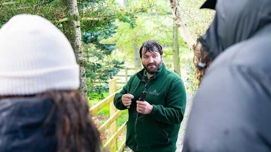 Adult Foraging Walk & Bushcraft Cookery Course for Beginners