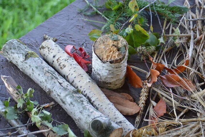 Adult Foraging Walk & Bushcraft Cookery Course for Beginners