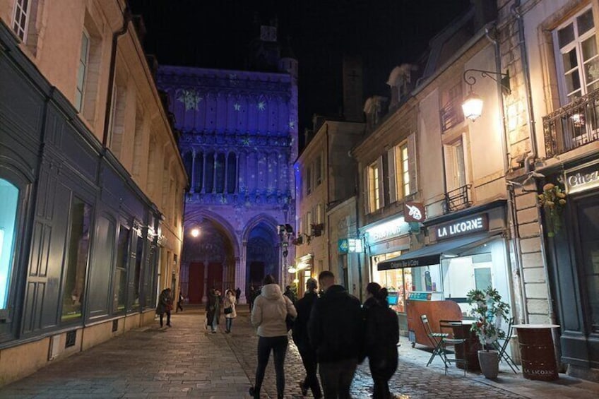 Guided tour of Dijon with your private professional guide!