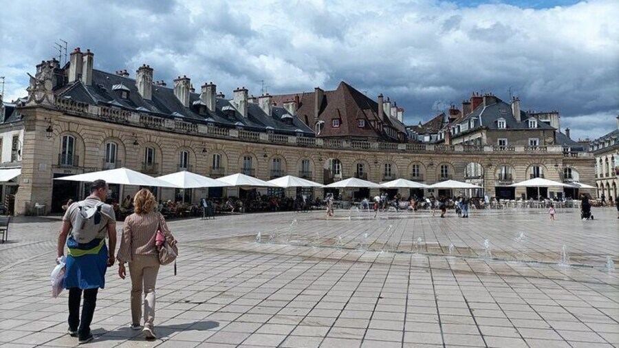 Guided tour of Dijon with your private professional guide!