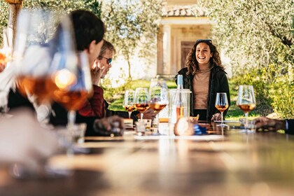 Au départ de Florence : Safari de dégustation de vins et de mets du Chianti