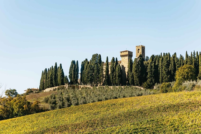 Picture 14 for Activity From Florence: Chianti Wine and Food Tasting Safari