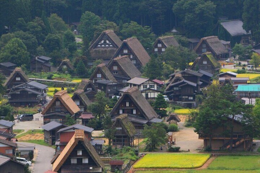 Nagoya to Hida Takayama & Shirakawago World Heritage Day Tour